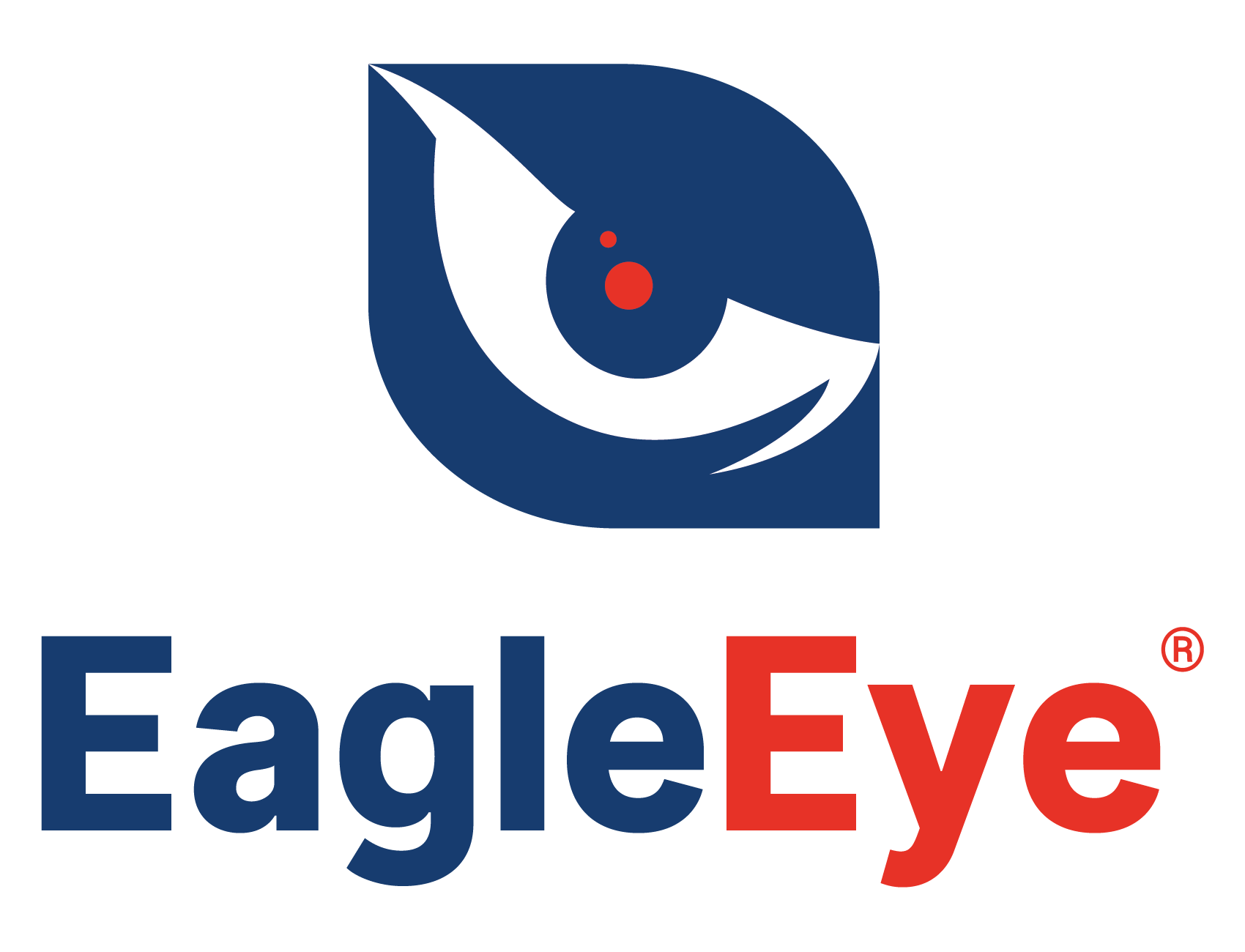 Eagle Eye DVR Logo
